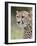 Cheetah (Acinonyx Jubatus), Kruger National Park, South Africa, Africa-James Hager-Framed Photographic Print