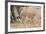 Cheetah (Acinonyx Jubatus), Masai Mara, Kenya, East Africa, Africa-Sergio Pitamitz-Framed Photographic Print