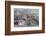 Cheetah (Acinonyx jubatus) on springbok kill, Kgalagadi Transfrontier Park, Northern Cape, South Af-Ann and Steve Toon-Framed Photographic Print