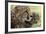 Cheetah (Acynonix Jubatus) and Cub, Masai Mara National Reserve, Kenya, East Africa, Africa-Sergio Pitamitz-Framed Photographic Print