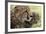 Cheetah (Acynonix Jubatus) and Cub, Masai Mara National Reserve, Kenya, East Africa, Africa-Sergio Pitamitz-Framed Photographic Print