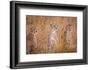 Cheetah Alpine Glow-Jeffrey C. Sink-Framed Photographic Print