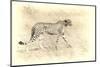 Cheetah, Artistic Version, Walking in Grassland Botswana, Africa-Sheila Haddad-Mounted Photographic Print