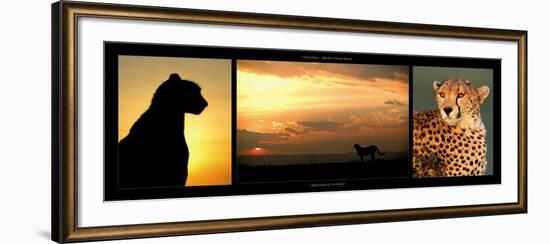 Cheetah at Sunset-Michel & Christine Denis-Huot-Framed Art Print