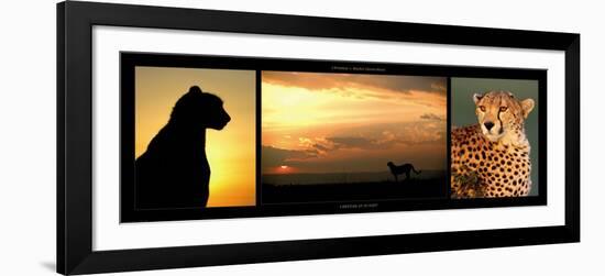 Cheetah at Sunset-Michel & Christine Denis-Huot-Framed Art Print