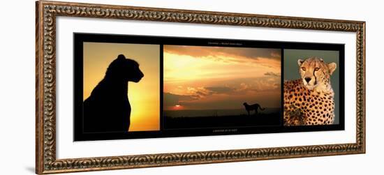 Cheetah at Sunset-Michel & Christine Denis-Huot-Framed Art Print