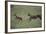 Cheetah Chasing Impala Foal in Grass-DLILLC-Framed Photographic Print