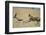 Cheetah Chasing Thomson's Gazelle-Paul Souders-Framed Photographic Print