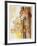 Cheetah Composition-Caroline Schultz-Framed Collectable Print