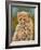 Cheetah Cub 3-David Stribbling-Framed Art Print