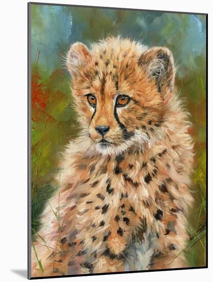 Cheetah Cub 3-David Stribbling-Mounted Art Print