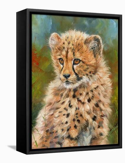 Cheetah Cub 3-David Stribbling-Framed Stretched Canvas