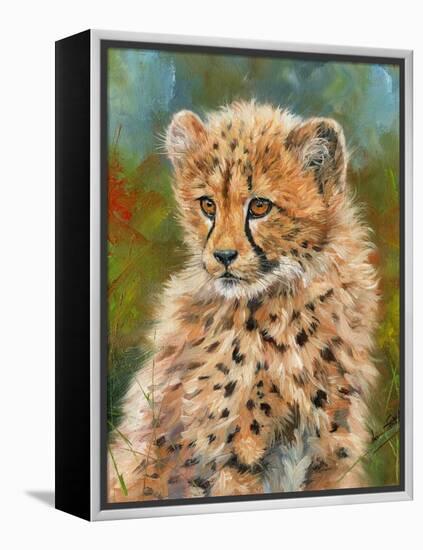 Cheetah Cub 3-David Stribbling-Framed Stretched Canvas