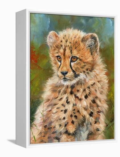 Cheetah Cub 3-David Stribbling-Framed Stretched Canvas