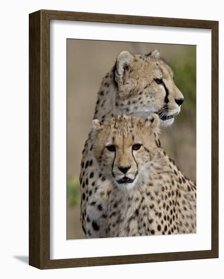 Cheetah Cub and Mother, Masai Mara National Reserve-James Hager-Framed Photographic Print