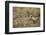 Cheetah Cub and Mother-Paul Souders-Framed Photographic Print