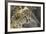 Cheetah Cub and Mother-Paul Souders-Framed Photographic Print