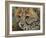 Cheetah Cub Close-David Stribbling-Framed Art Print