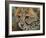 Cheetah Cub Close-David Stribbling-Framed Art Print