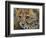 Cheetah Cub Close-David Stribbling-Framed Premium Giclee Print