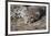 Cheetah Cub Hz 17 2-Robert Michaud-Framed Giclee Print