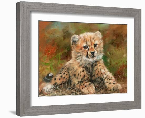 Cheetah Cub laying Down-David Stribbling-Framed Art Print