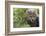 Cheetah Cub, Masai Mara, Kenya-Sergio Pitamitz-Framed Photographic Print