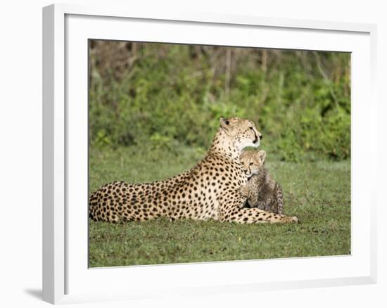Cheetah Cub Playing with its Mother, Ndutu, Ngorongoro, Tanzania-null-Framed Photographic Print