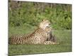 Photographic Print