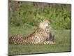 Photographic Print