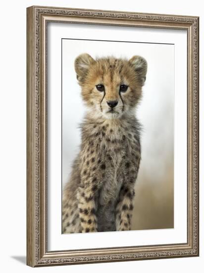 Cheetah Cub-null-Framed Photographic Print