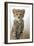 Cheetah Cub-null-Framed Photographic Print