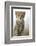 Cheetah Cub-null-Framed Photographic Print