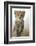 Cheetah Cub-null-Framed Photographic Print