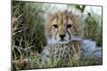 Photographic Print