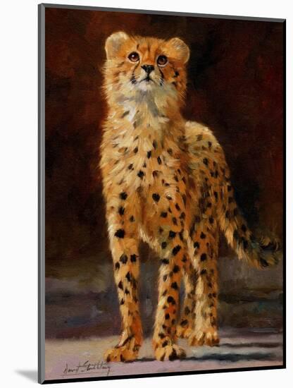 cheetah cub-David Stribbling-Mounted Art Print