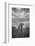 CHEETAH DREAMS-Jaco Marx-Framed Photographic Print