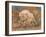 cheetah dust final-David Stribbling-Framed Art Print