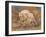 cheetah dust final-David Stribbling-Framed Art Print