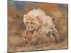 cheetah dust final-David Stribbling-Mounted Art Print