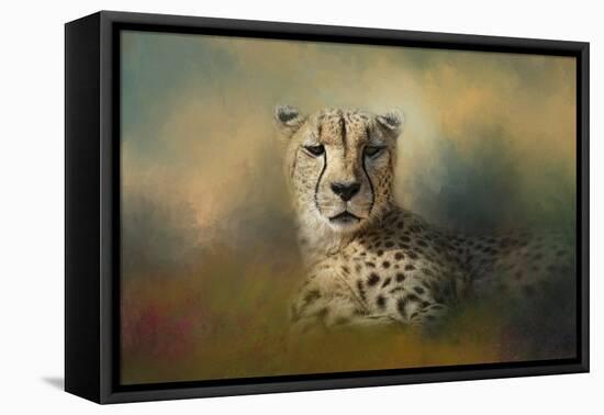 Cheetah Enjoying a Summer Day-Jai Johnson-Framed Premier Image Canvas