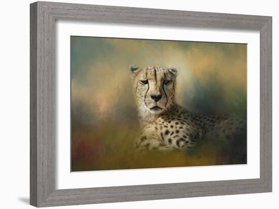 Cheetah Enjoying a Summer Day-Jai Johnson-Framed Giclee Print