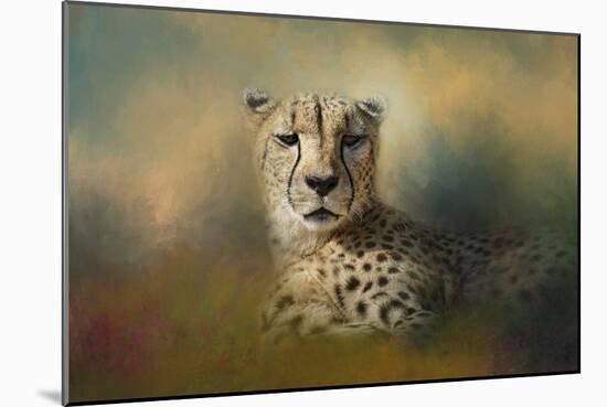 Cheetah Enjoying a Summer Day-Jai Johnson-Mounted Giclee Print