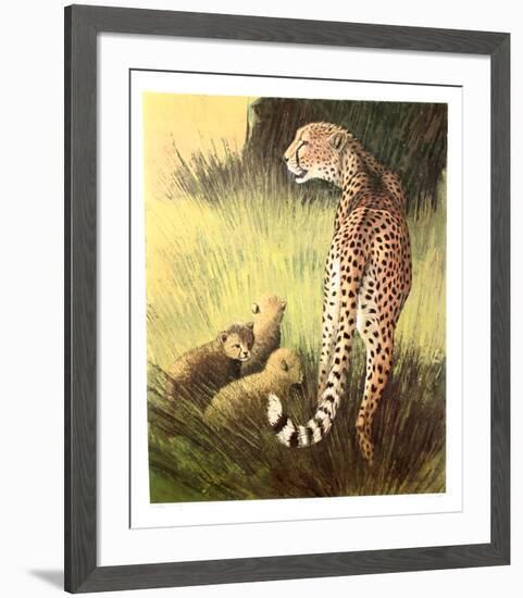 Cheetah Family Masai Mara-Caroline Schultz-Framed Collectable Print
