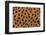 Cheetah Fur-DLILLC-Framed Photographic Print