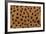 Cheetah Fur-DLILLC-Framed Photographic Print