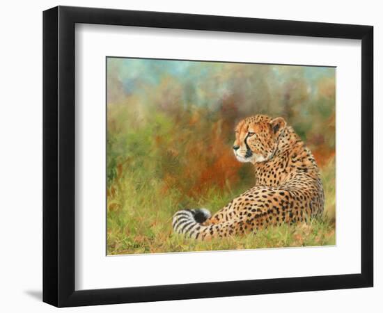 Cheetah Grass-David Stribbling-Framed Premium Giclee Print