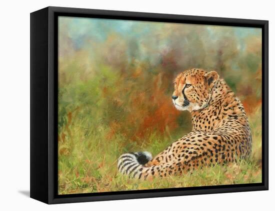 Cheetah Grass-David Stribbling-Framed Stretched Canvas