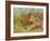 Cheetah Grass-David Stribbling-Framed Art Print