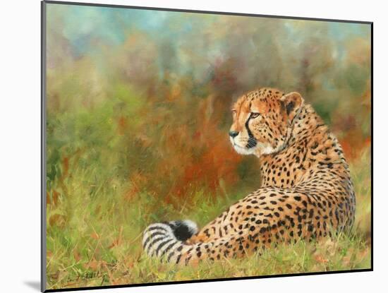 Cheetah Grass-David Stribbling-Mounted Art Print